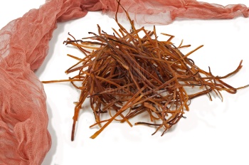 Фото паутинка из кальмара