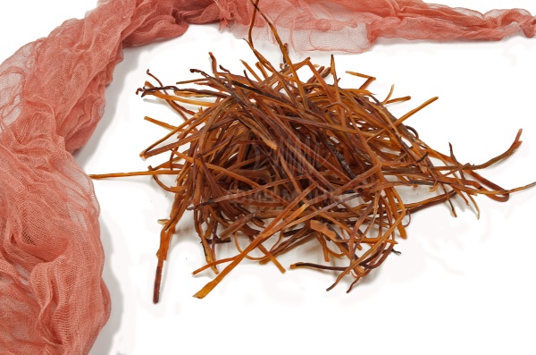 Фото паутинка из кальмара