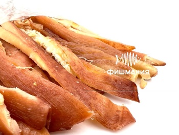 Сушеный вяленый кальмар Премиум купить недорого в интернет магазине Фишмания отправка по всей  России